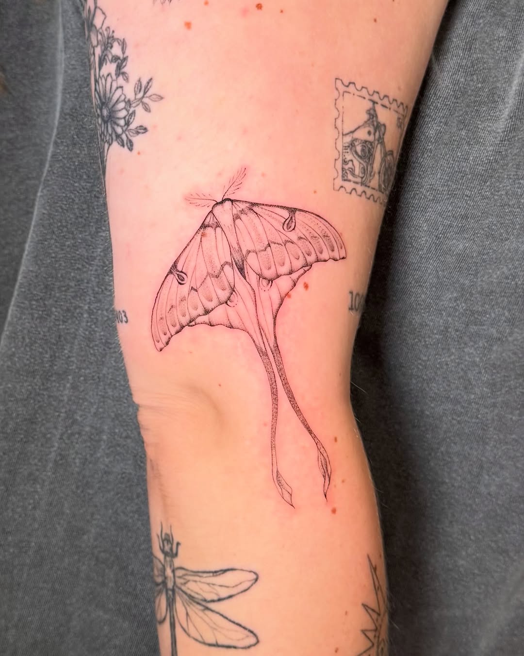 Tattoo by @ry.lynn.tattoos โ fine_line
