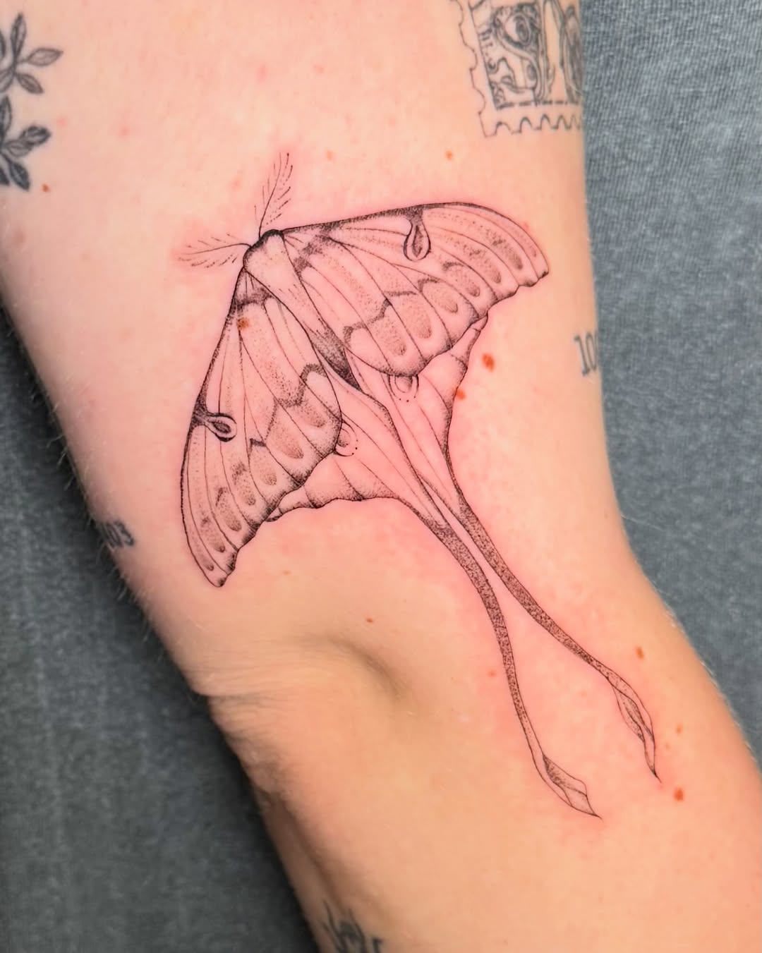 Tattoo by @ry.lynn.tattoos โ fine_line