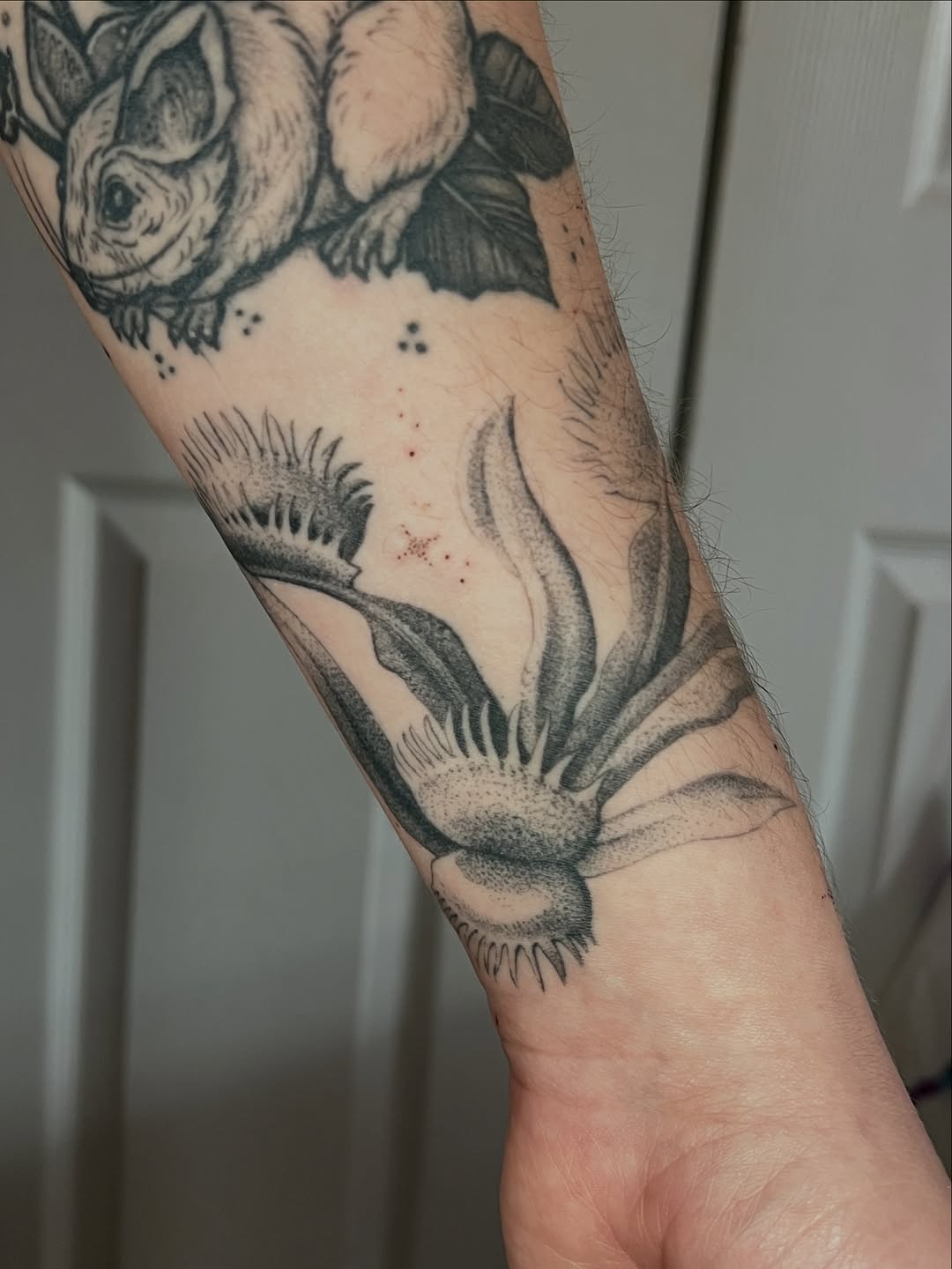 Tattoo by @natasha_schmidt_art — illustrative, black_and_grey