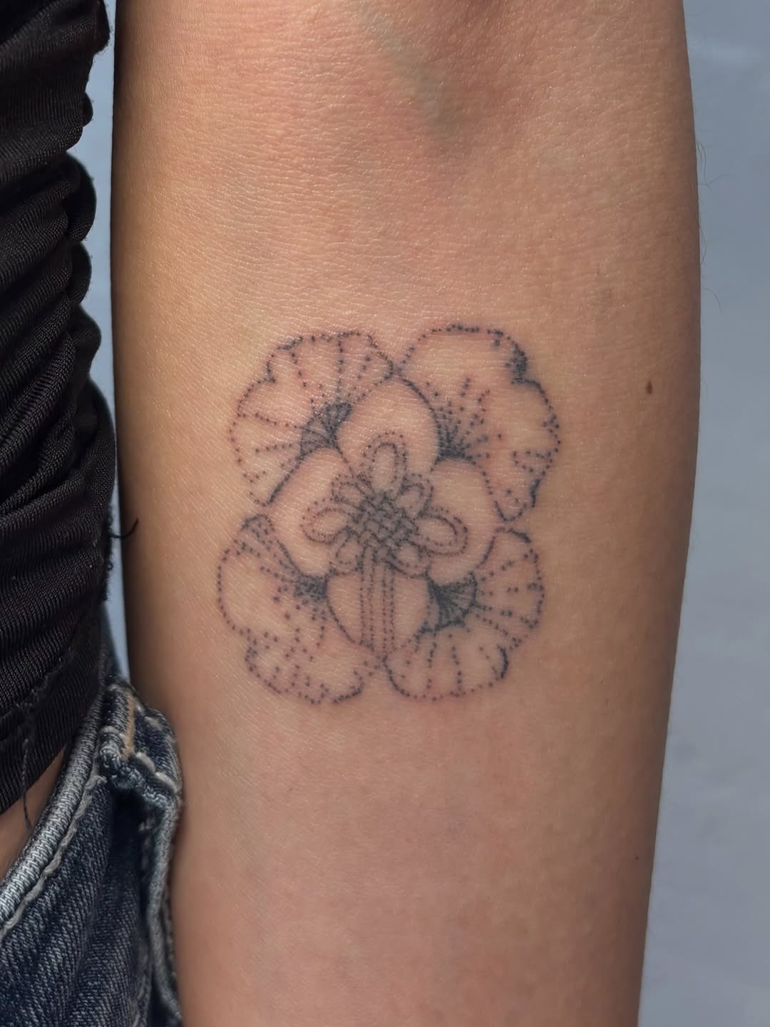 Tattoo by @sabpokes — dotwork, illustrative