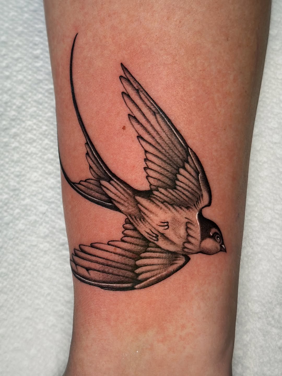 Tattoo by @laurynjenesis — black_and_grey, realism