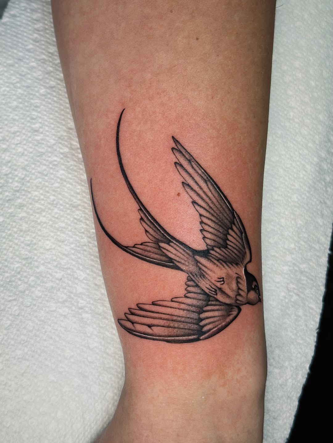 Tattoo by @laurynjenesis — fine_line, black_and_grey