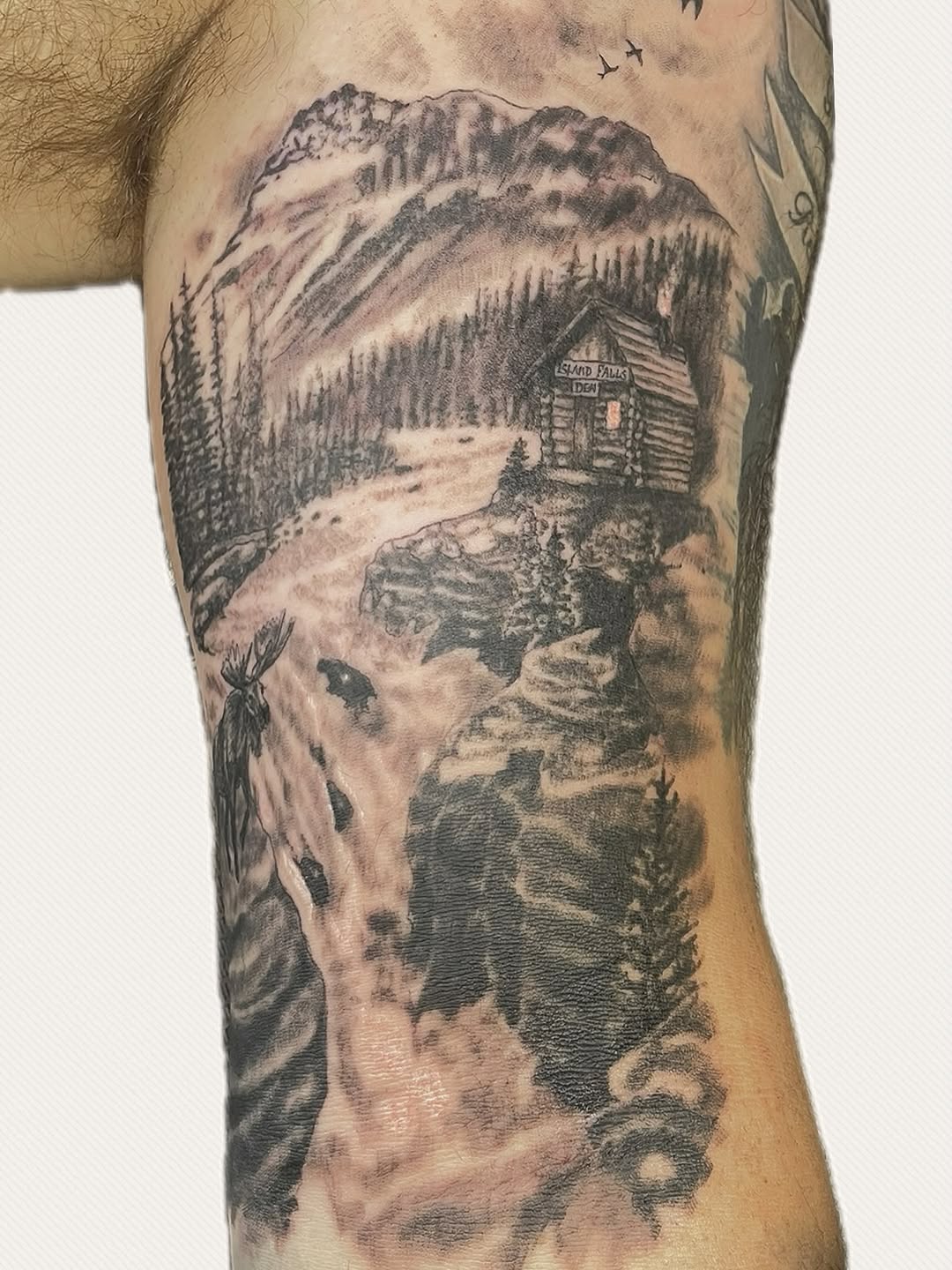Tattoo by @mstarkweatherart — realism, black_and_grey