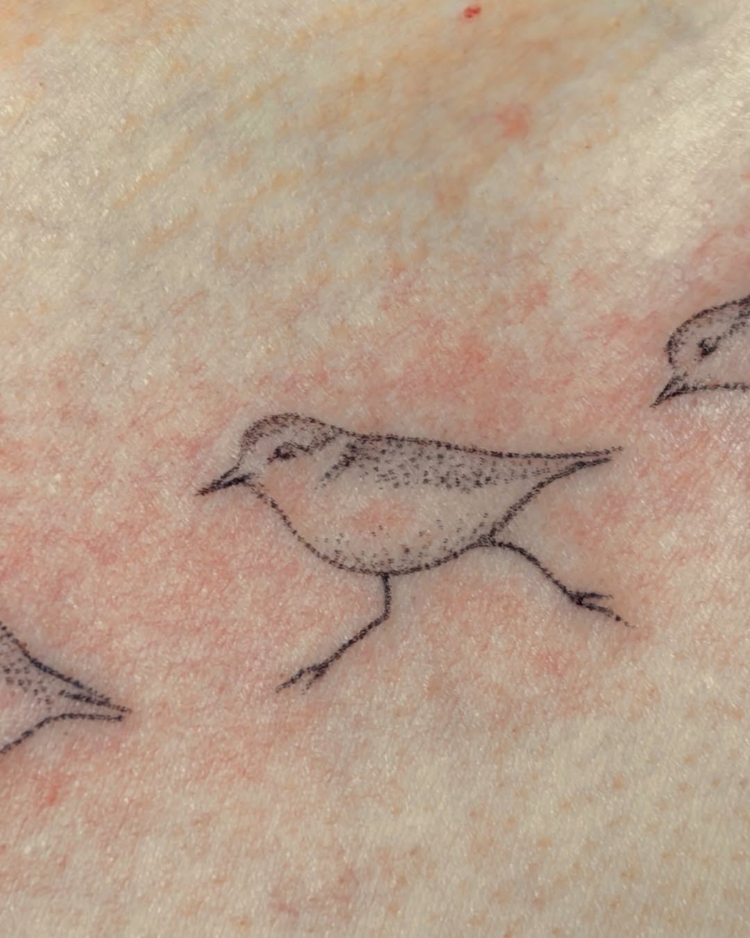 Tattoo by @slxpxke — fine_line