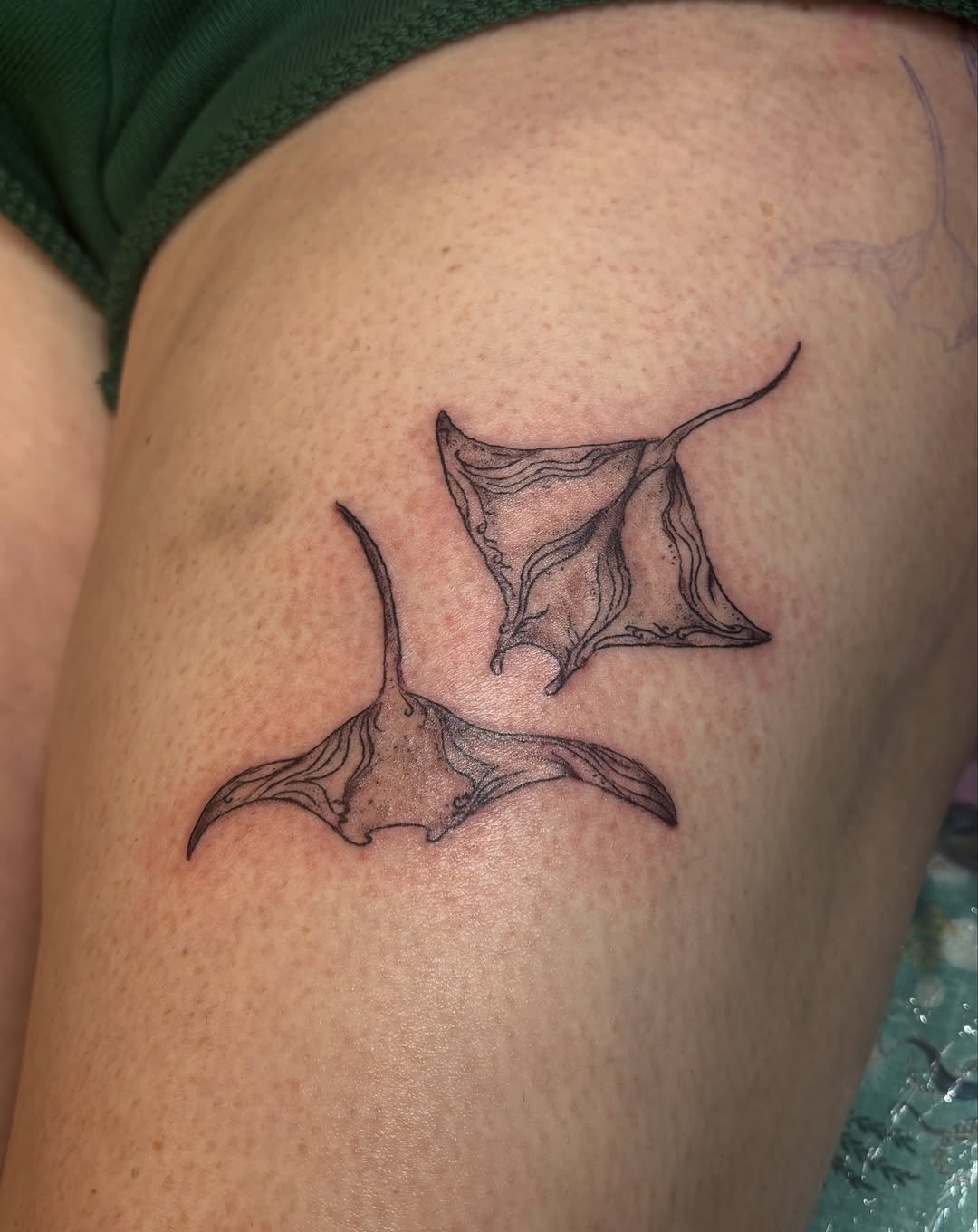 Tattoo by @handofheen — fine_line