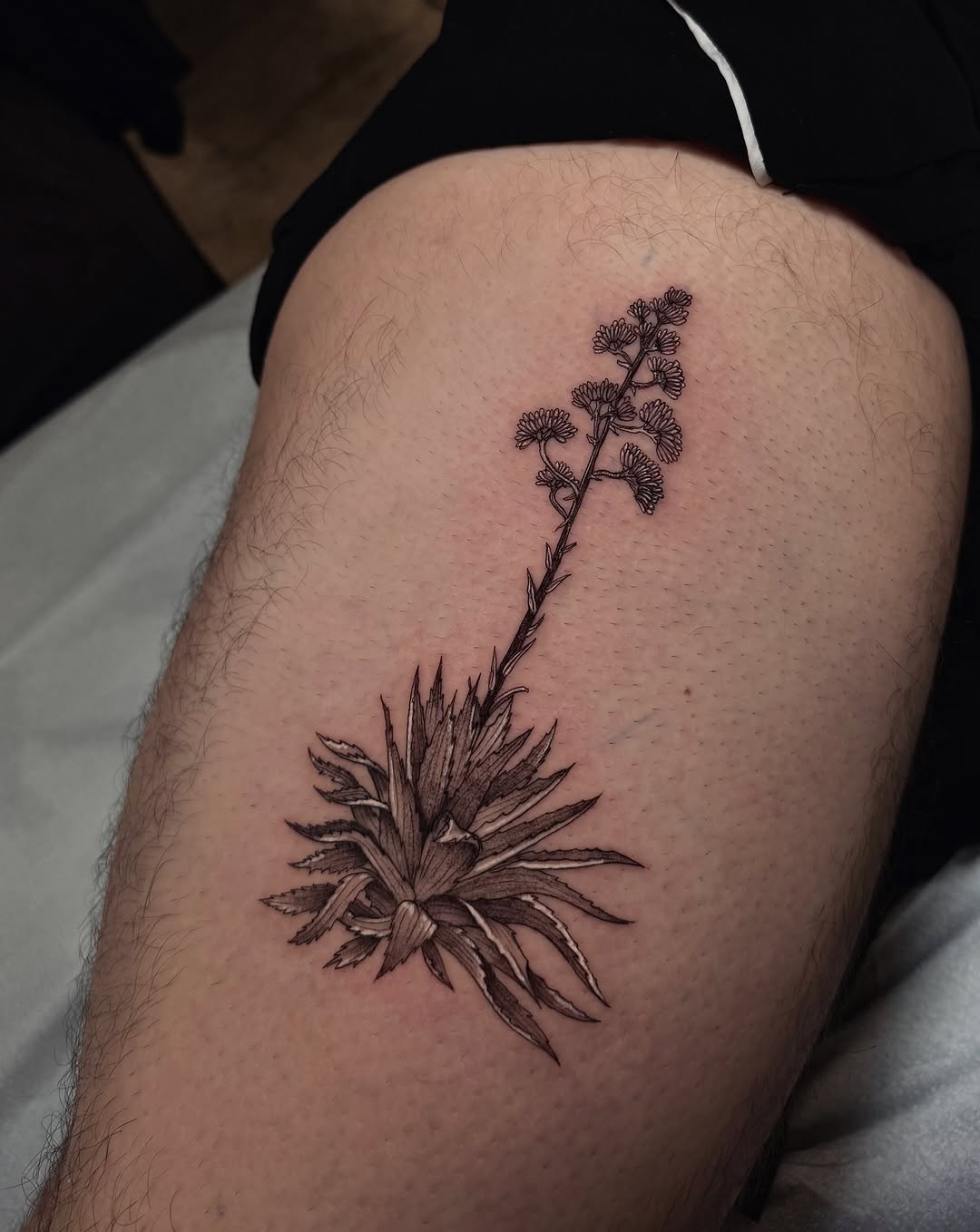 Tattoo by @jaqui.sieras — fine_line, black_and_grey