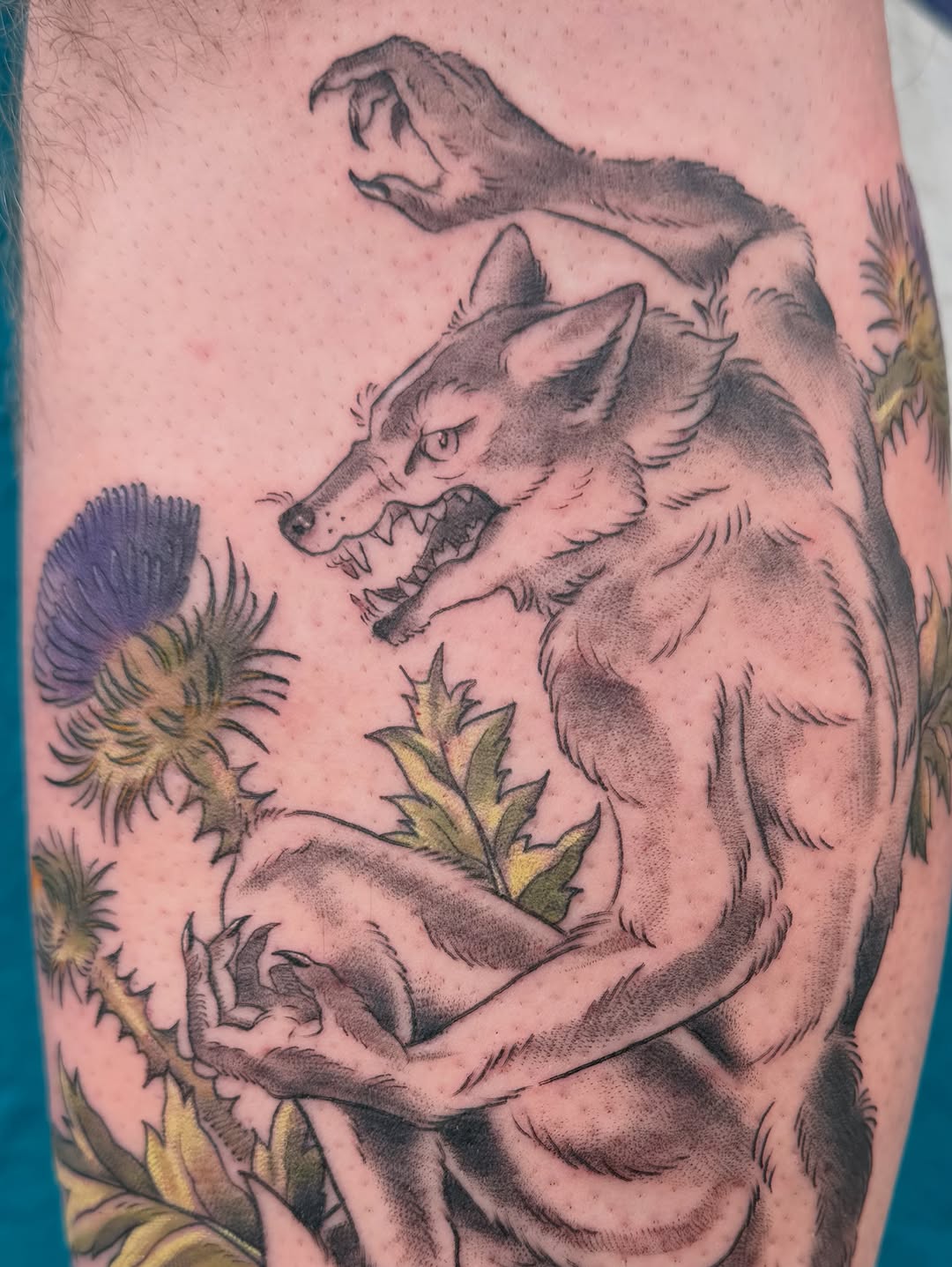 Tattoo by @devilgoat โ neo_traditional