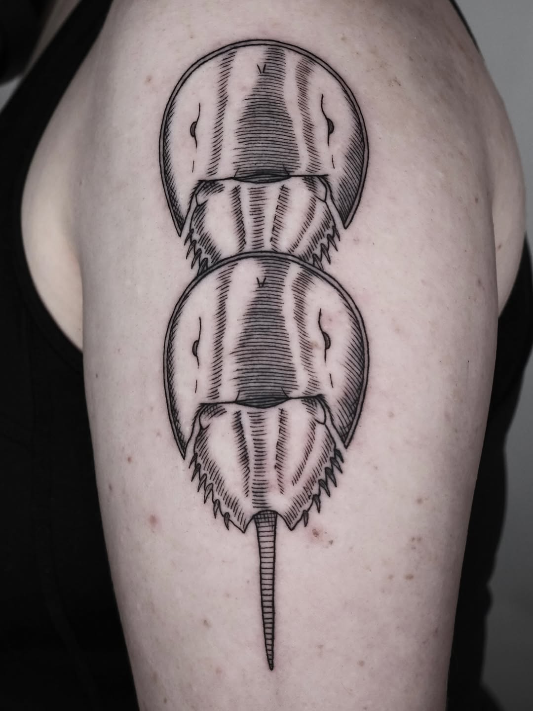 Tattoo by @nocool_kim — black_and_grey, illustrative