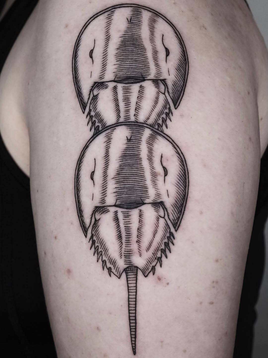 Tattoo by @nocool_kim — black_and_grey, illustrative