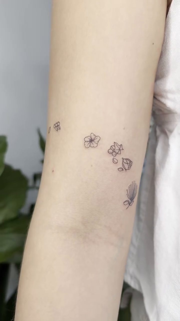 Tattoo by @tattoosbypri — fine_line, illustrative