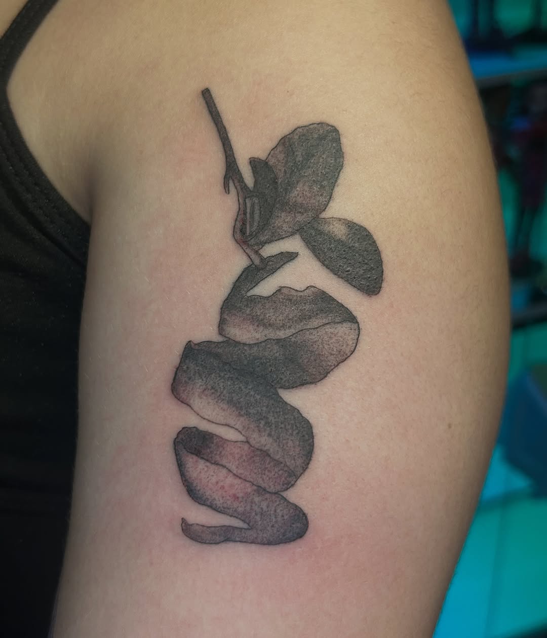 Tattoo by @alifaetattoos — black_and_grey, realism
