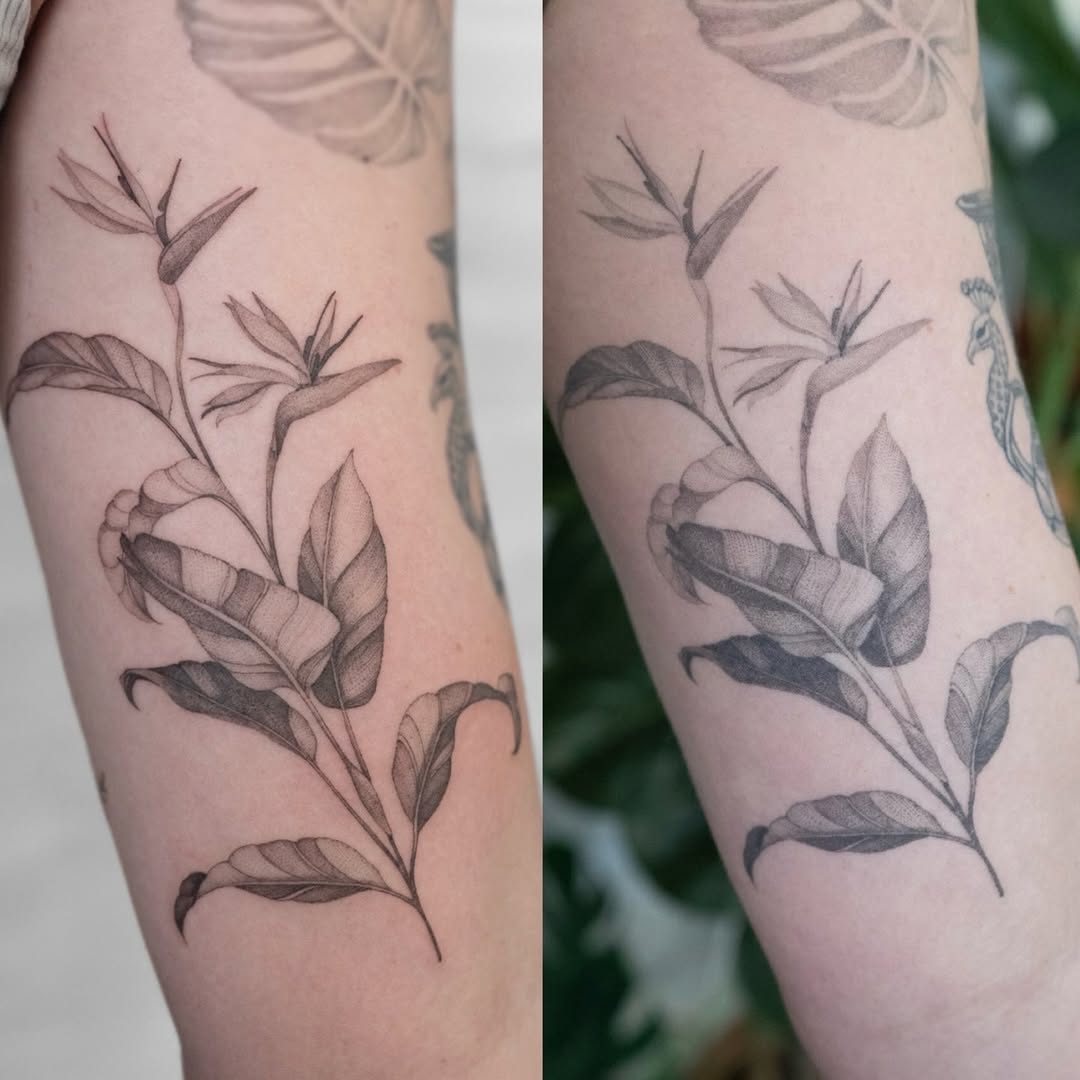 Tattoo by @lilyblu.ink — black_and_grey, dotwork