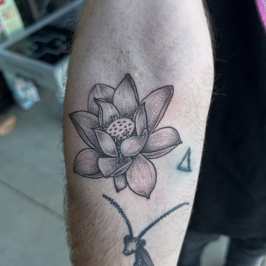 Tattoo by @kikis.inks — dotwork, black_and_grey