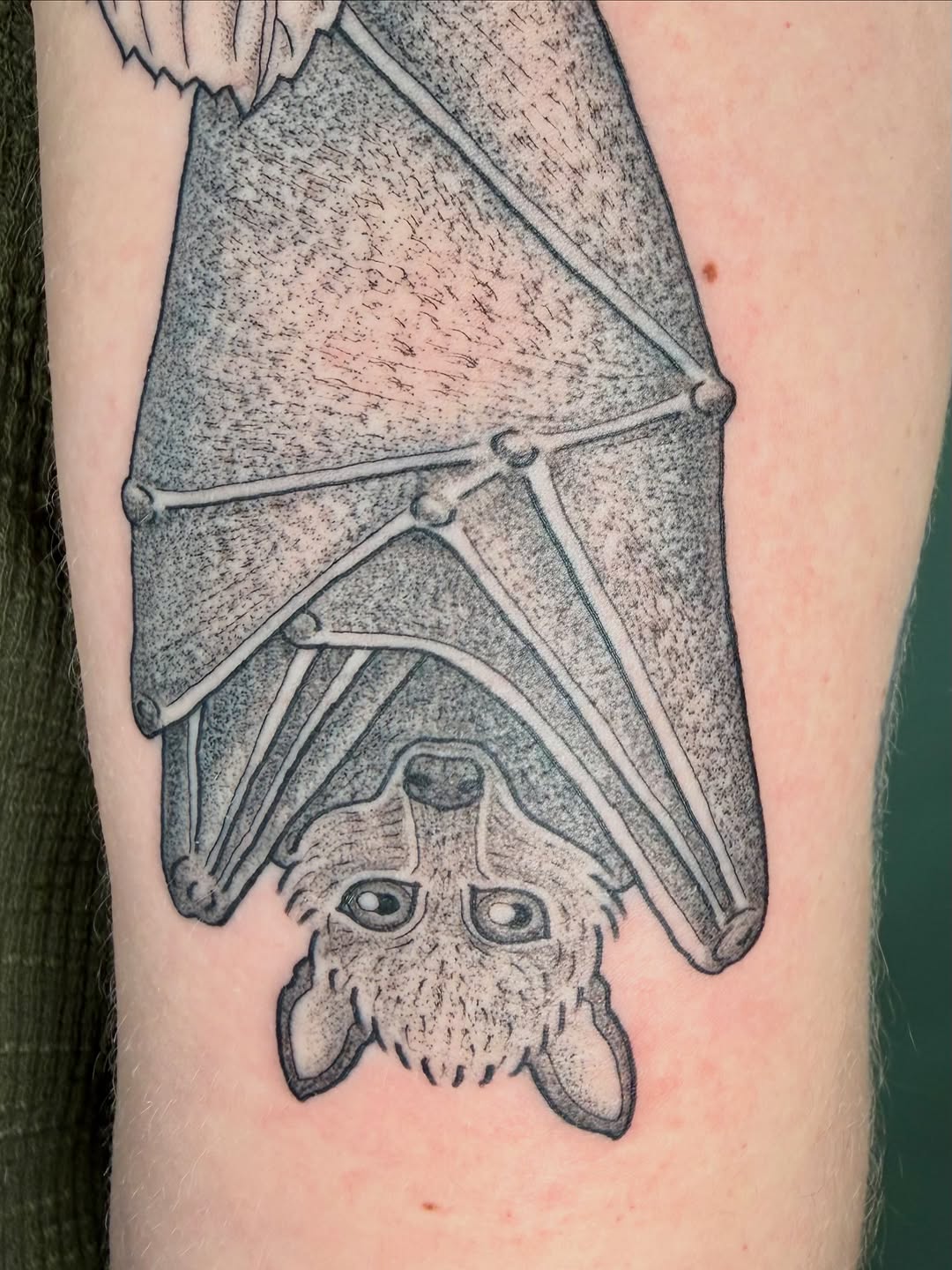 Tattoo by @drawingplantsandthings — black_and_grey, realism
