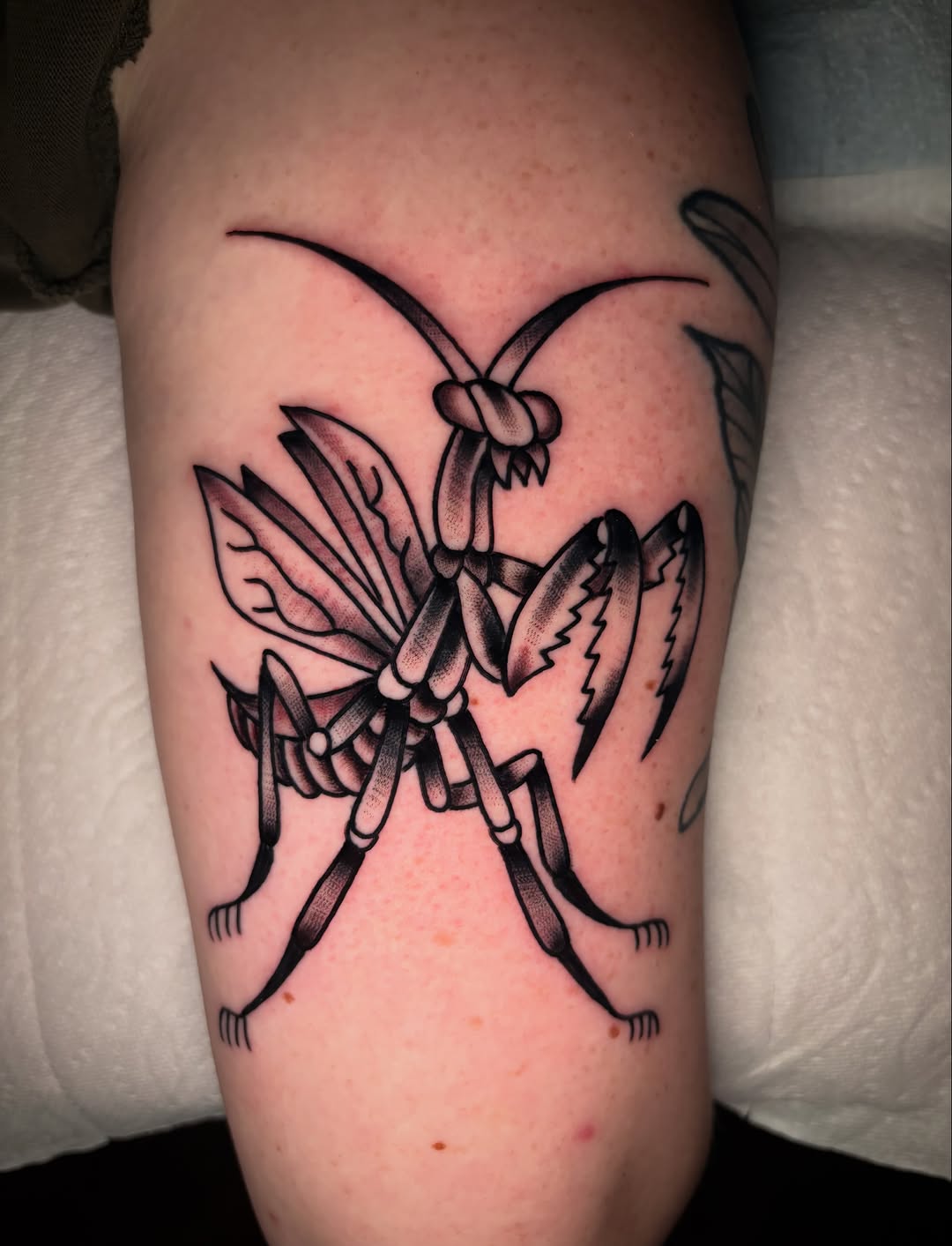 Tattoo by @chemical_adhesive — american_traditional, black_and_grey