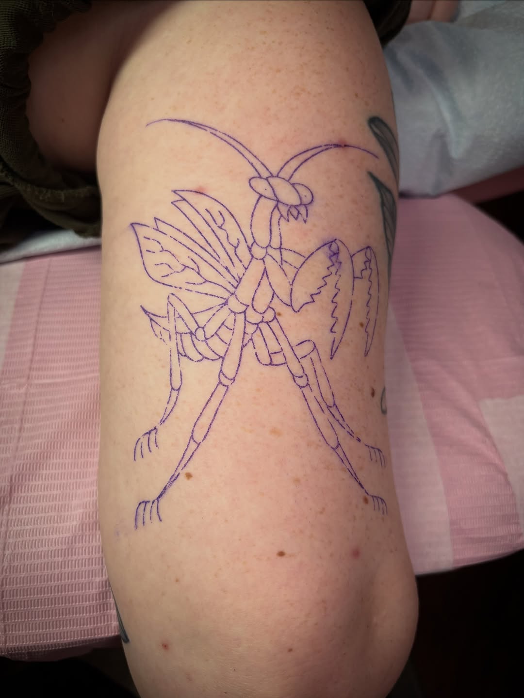 Tattoo by @chemical_adhesive — new_school