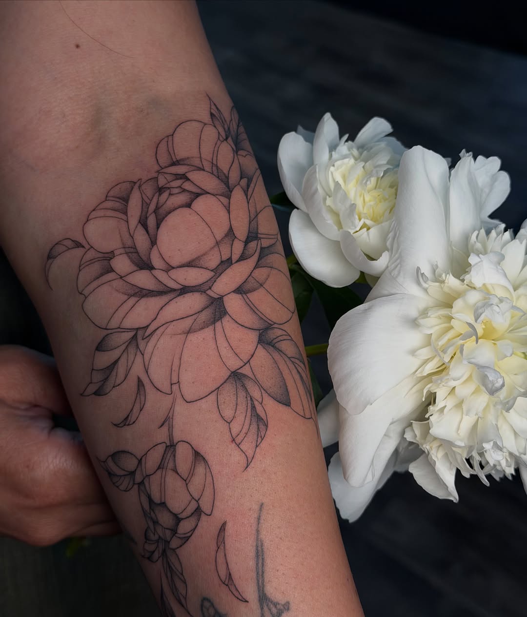 Tattoo by @inkedbyjulia โ fine_line