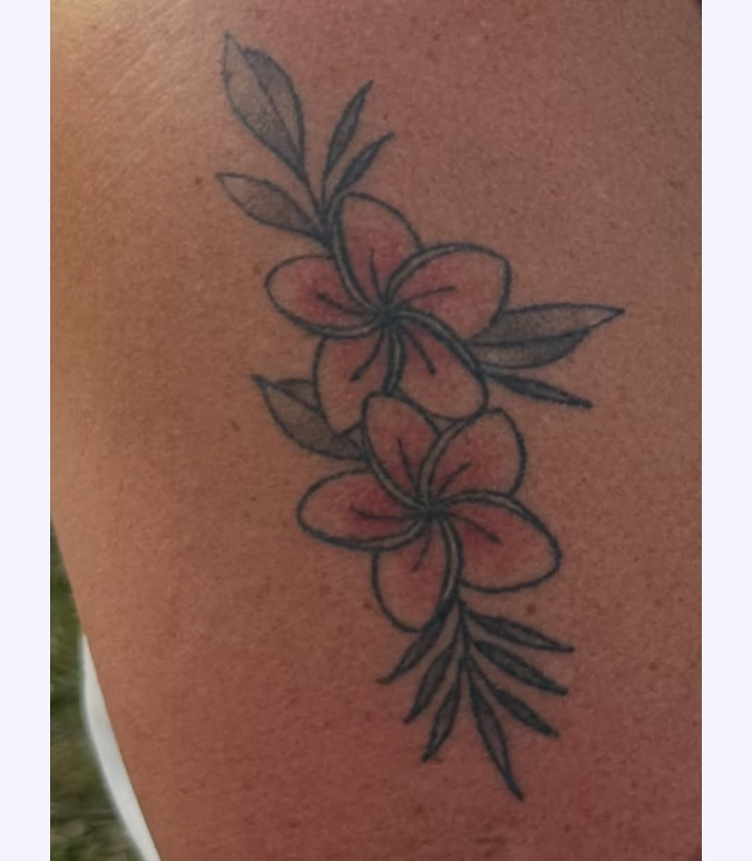 Tattoo by @jewelstattoos_ — fine_line, black_and_grey