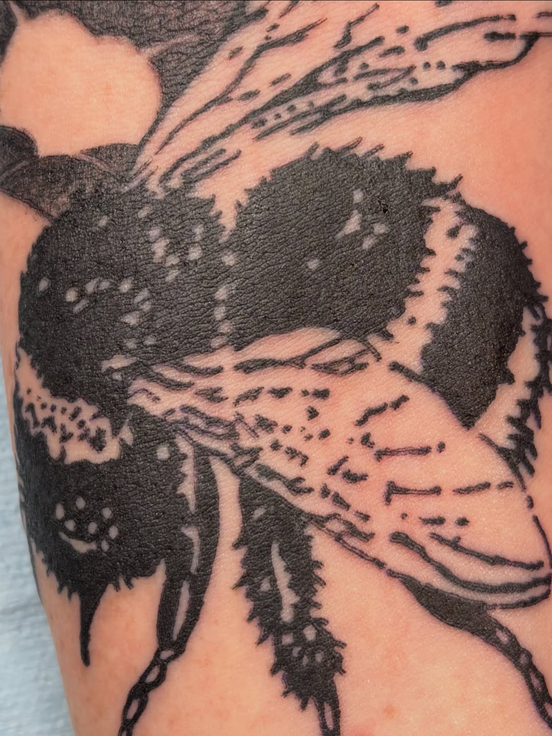 Tattoo by @cammerondamnit — blackwork, illustrative