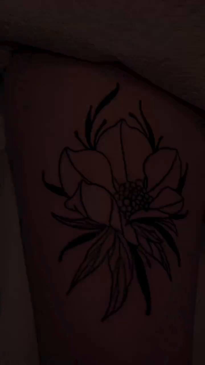 Tattoo by @luvetattoos — fine_line, illustrative