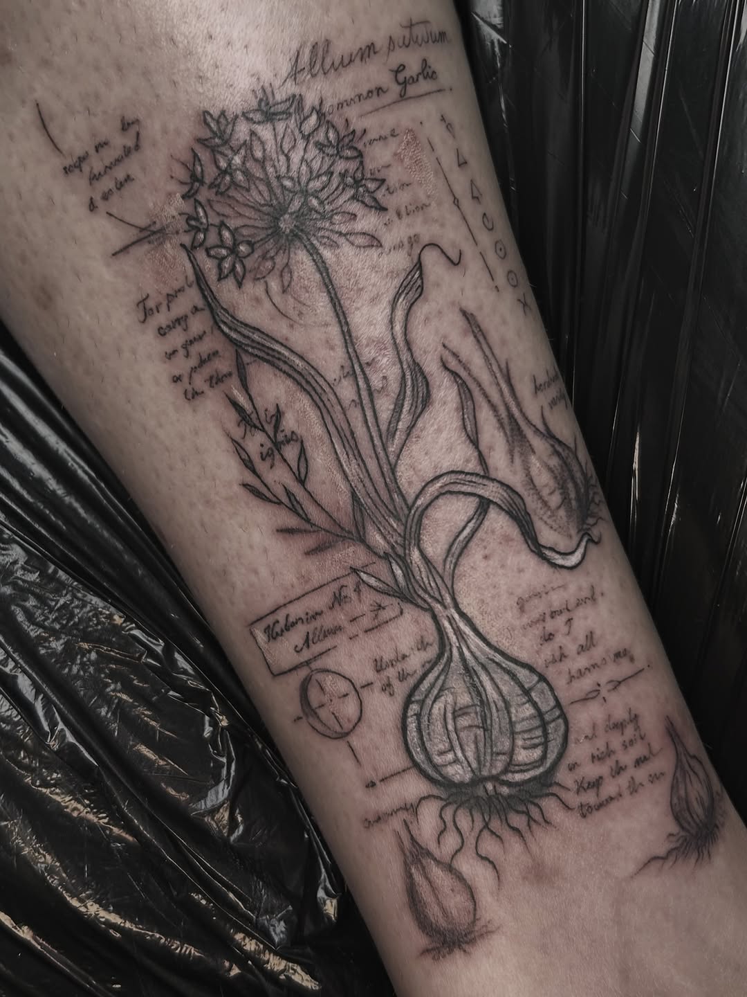 Tattoo by @thedanschuster — black_and_grey