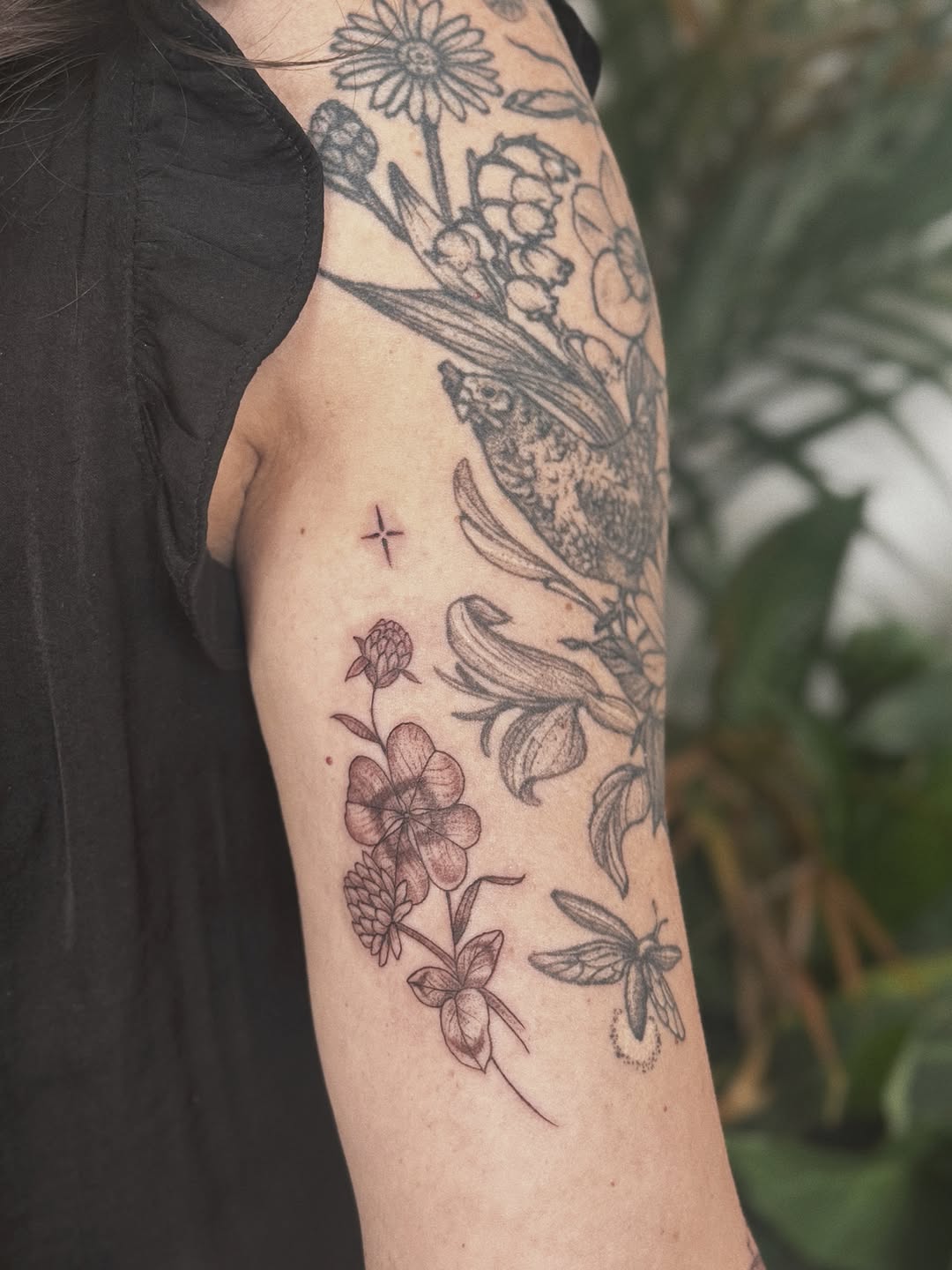 Tattoo by @somberallure — fine_line, illustrative
