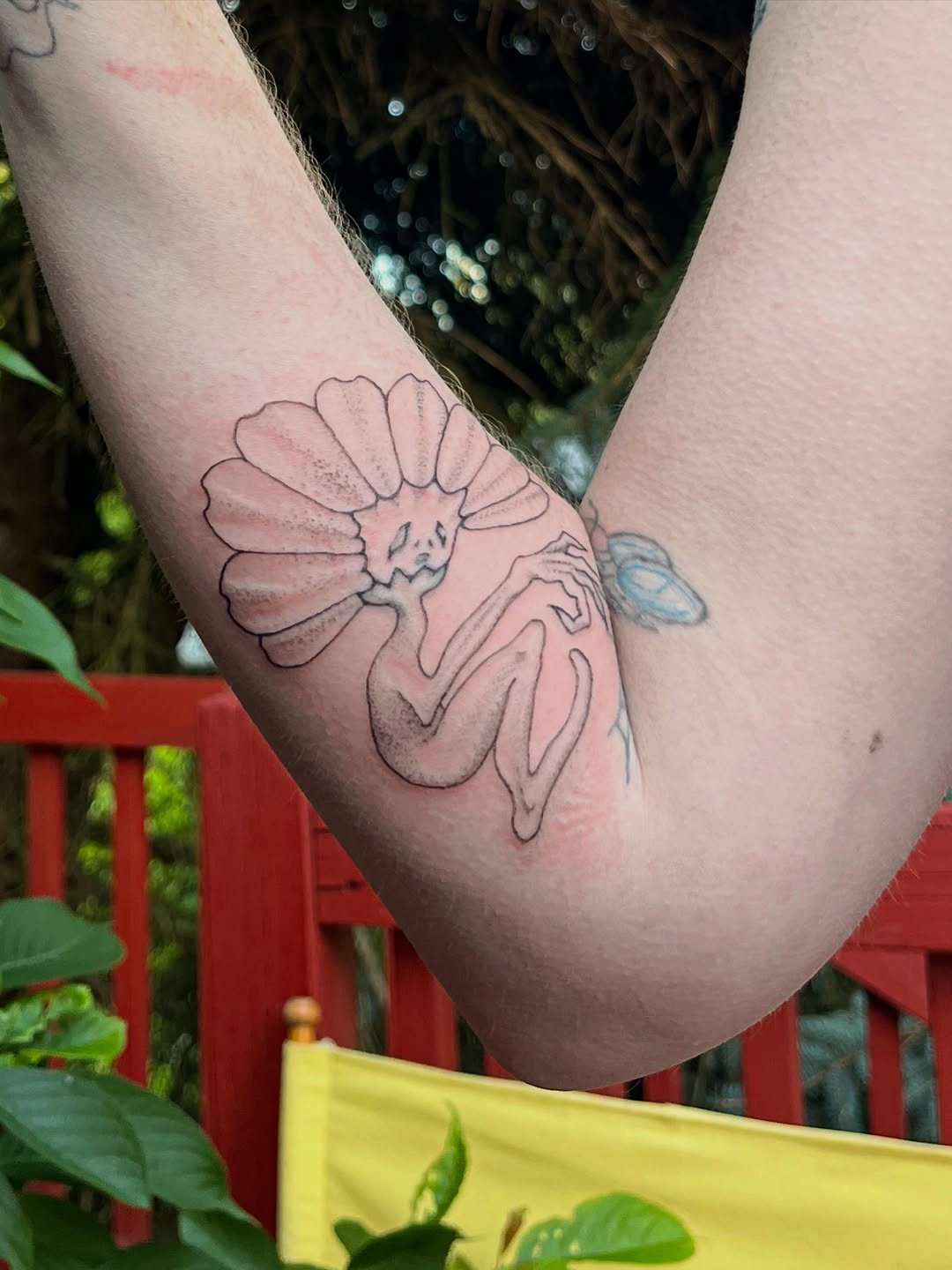 Tattoo by @lanternalia.arts — illustrative, fine_line