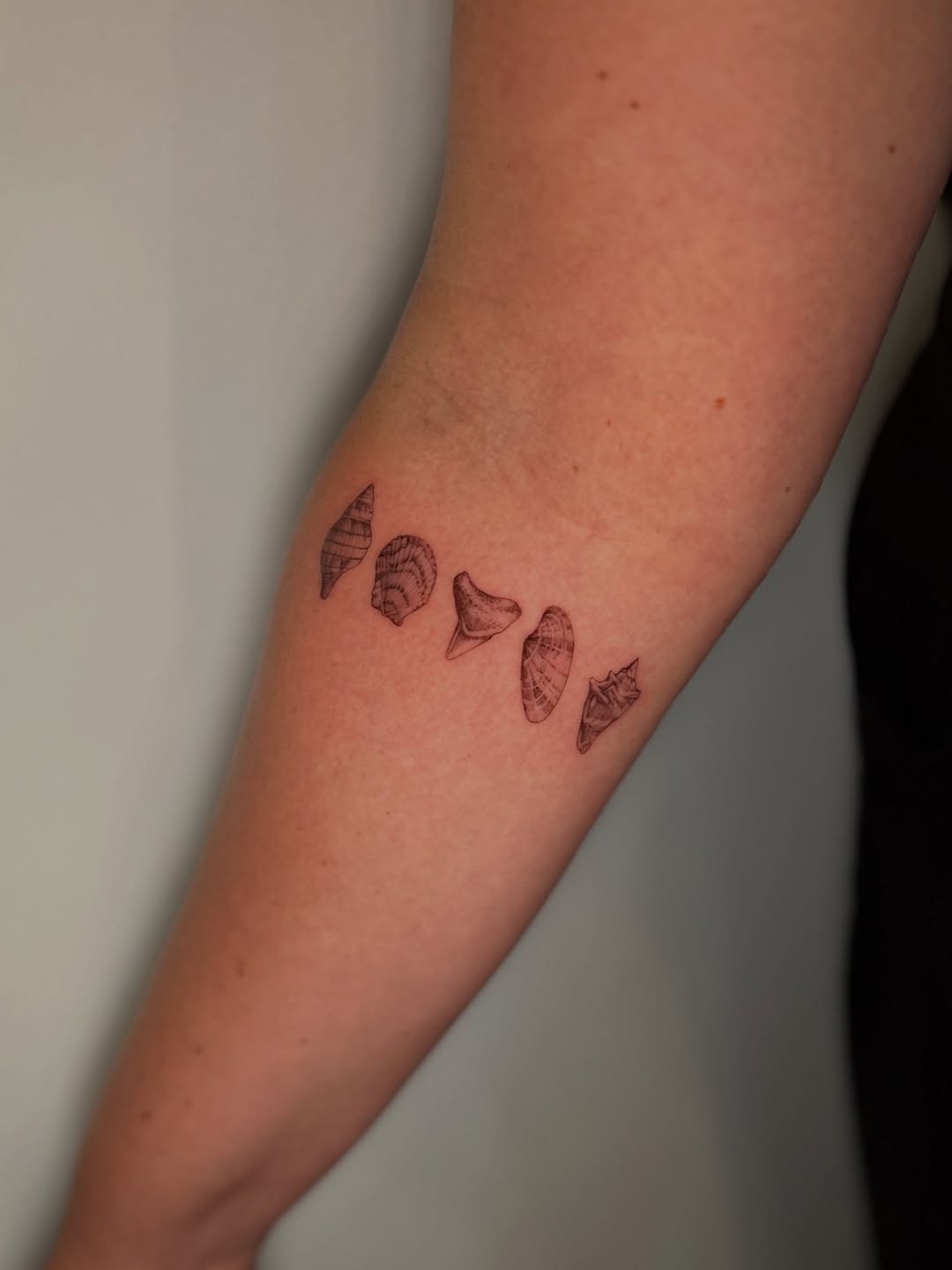 Tattoo by @mae.tattoo — fine_line, illustrative