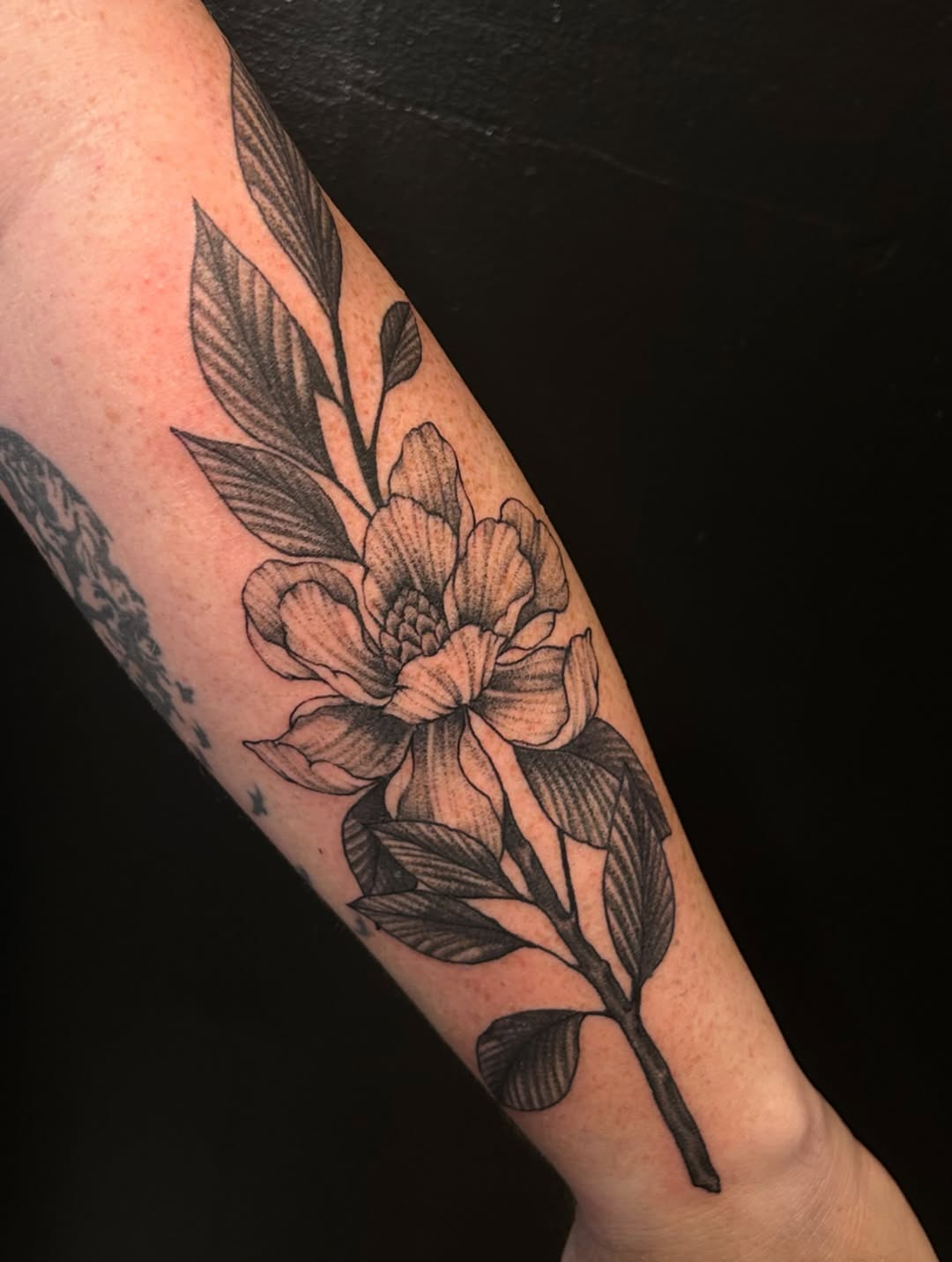 Tattoo by @socratiicrrat โ black_and_grey, fine_line