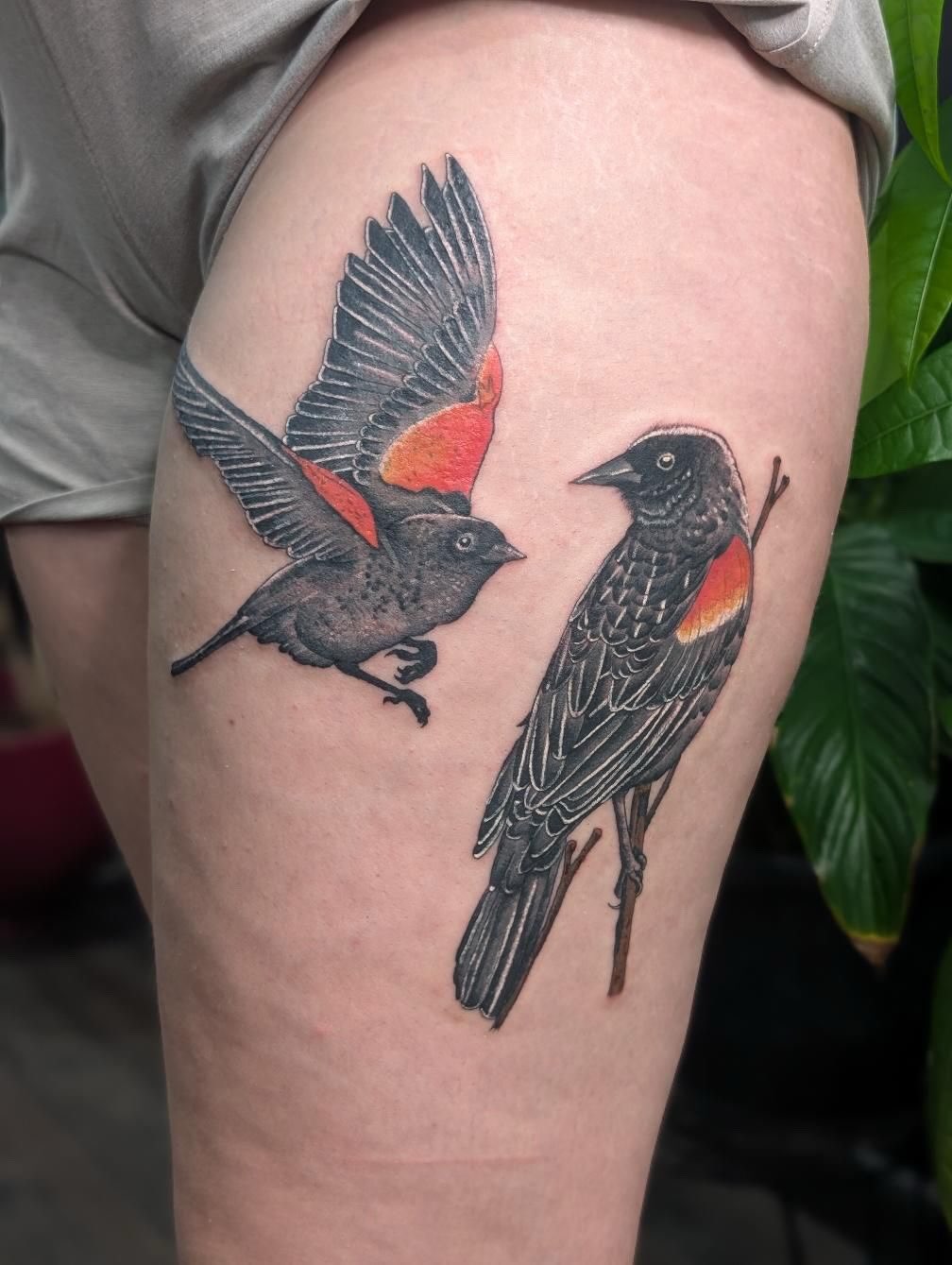 Tattoo by @sarahbean.ink — realism, black_and_grey