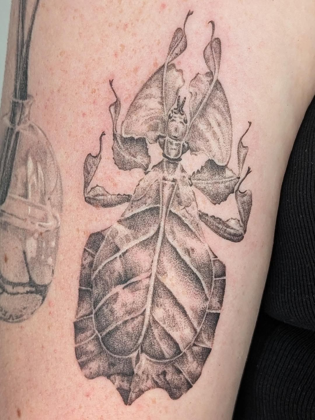Tattoo by @arave.art โ dotwork, illustrative