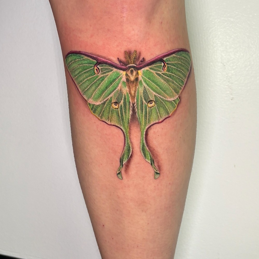 Tattoo by @hbones_artistry — realism, fine_line