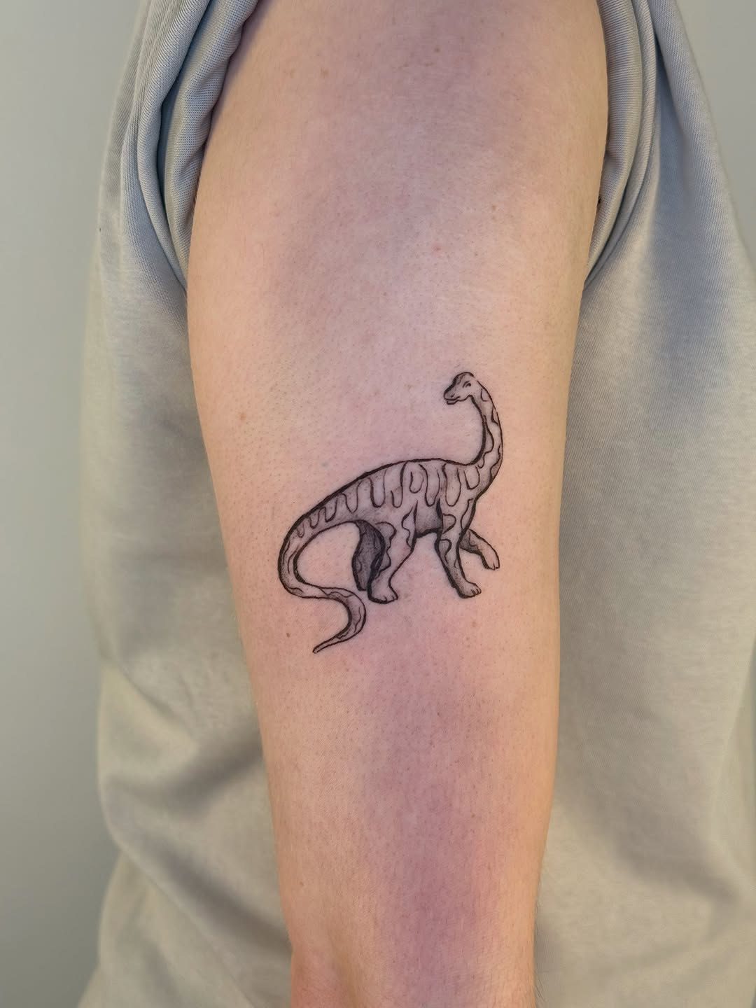 Tattoo by @tattoo.meg — fine_line, sketch