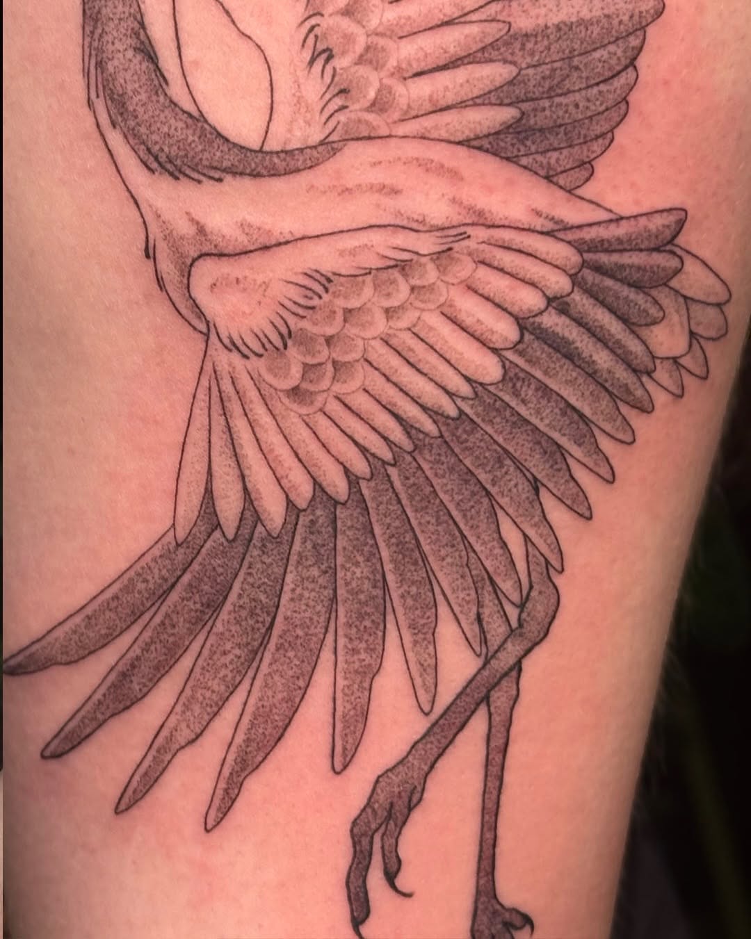 Tattoo by @ernieinks — black_and_grey