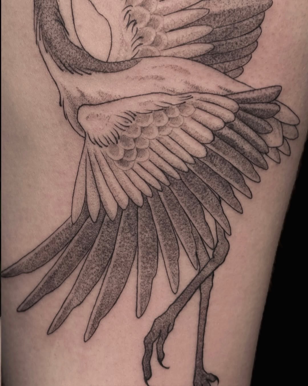Tattoo by @ernieinks — dotwork