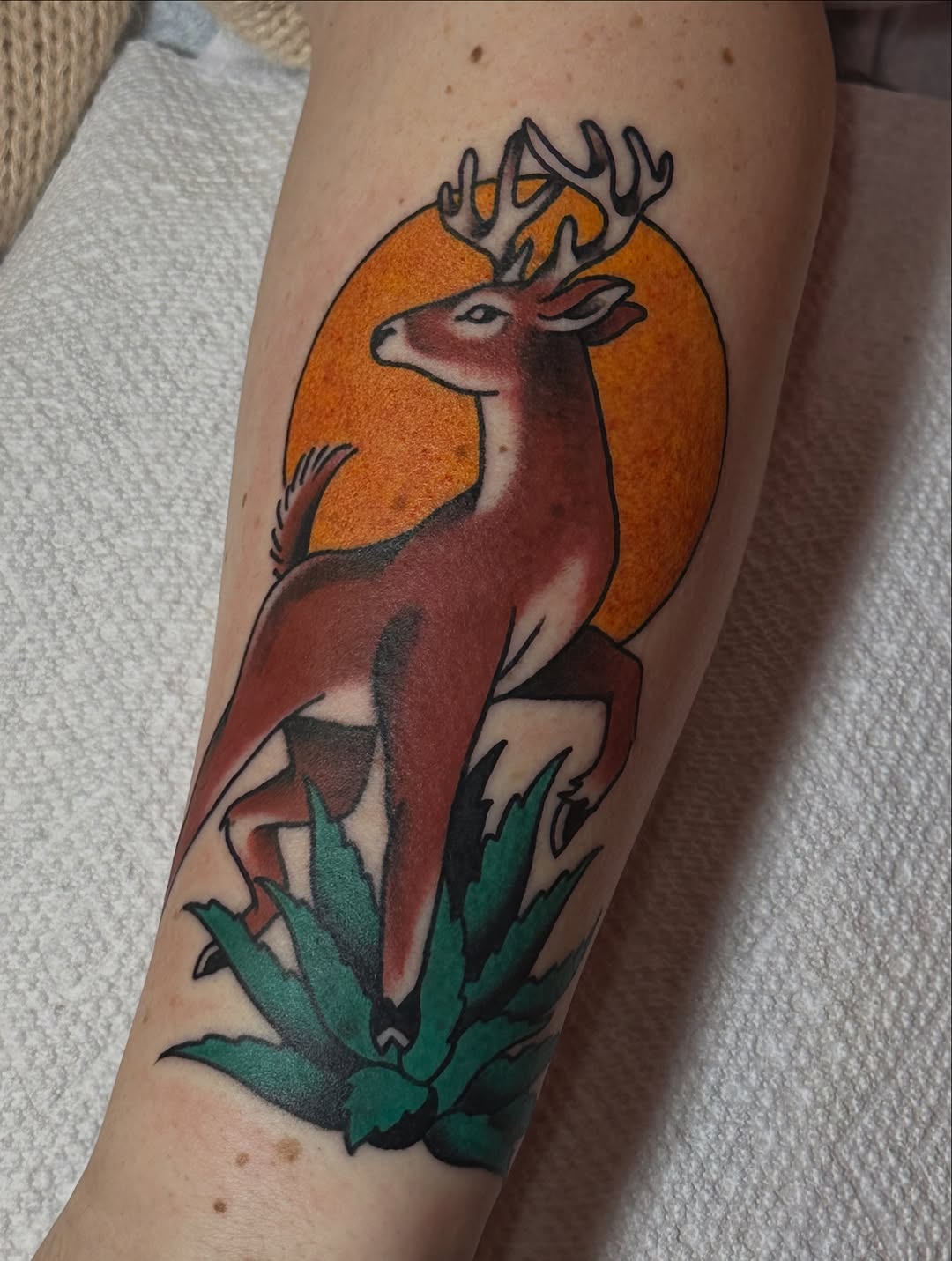 Tattoo by @wolfkieltattoos — american_traditional, illustrative