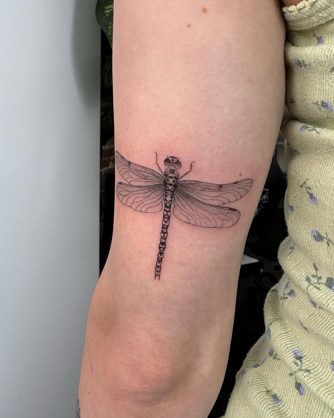 Tattoo by @whiskietattoos โ fine_line, illustrative