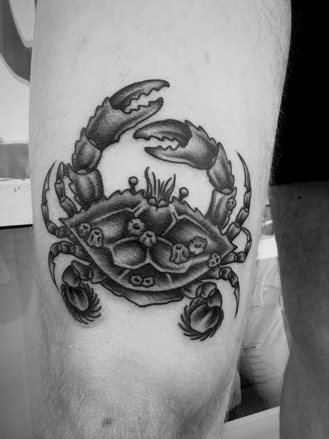 Tattoo by @connorcampbelltattoos — black_and_grey, realism