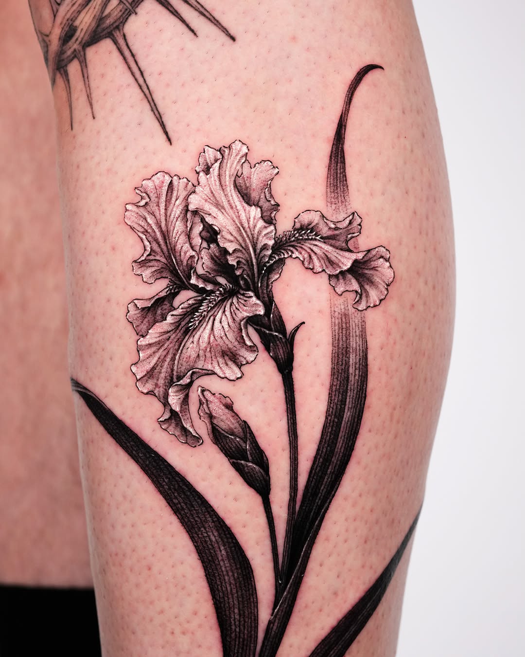 Tattoo by @tattooer_intat — black_and_grey, realism