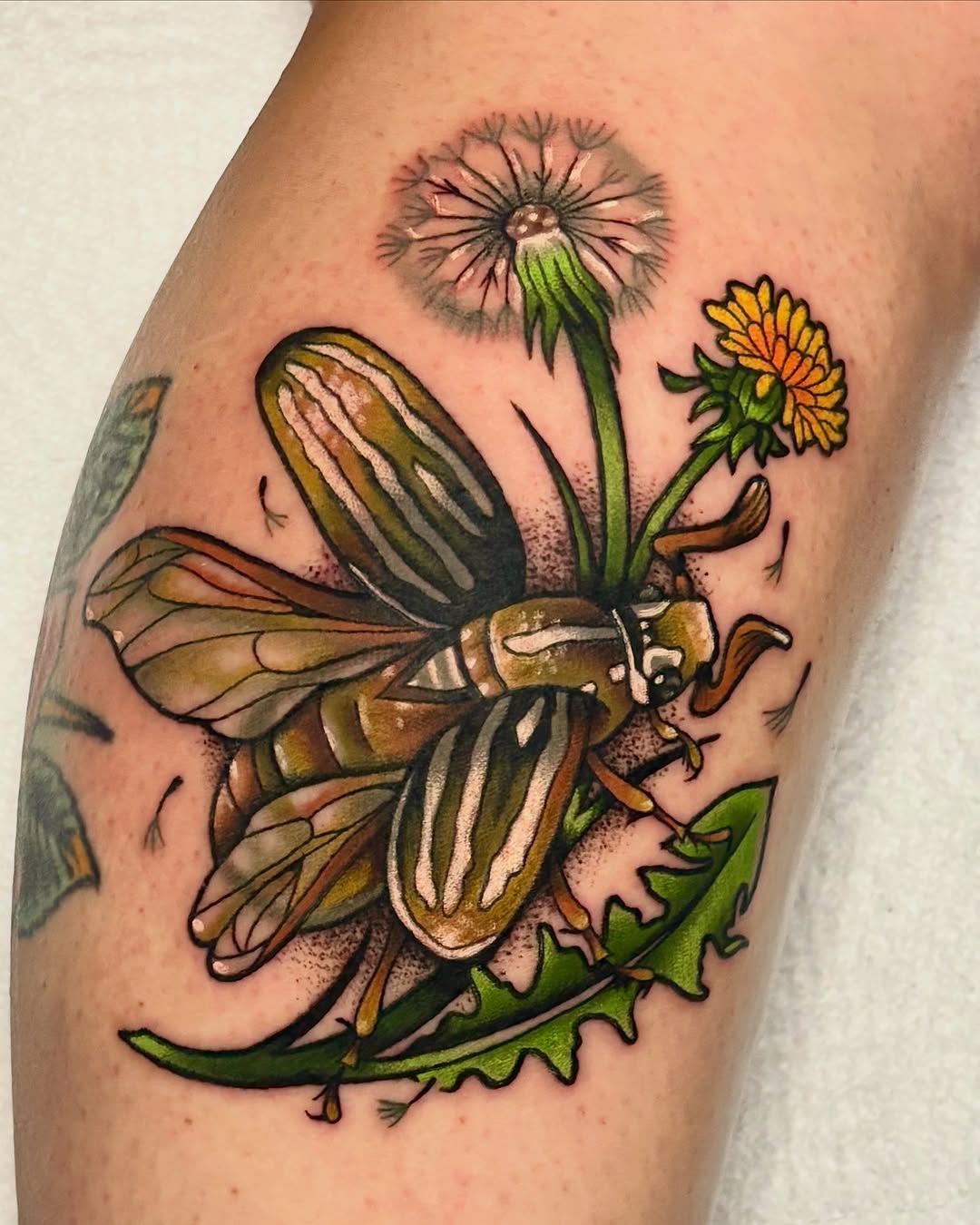 Tattoo by @alexfarsalla — new_school, illustrative