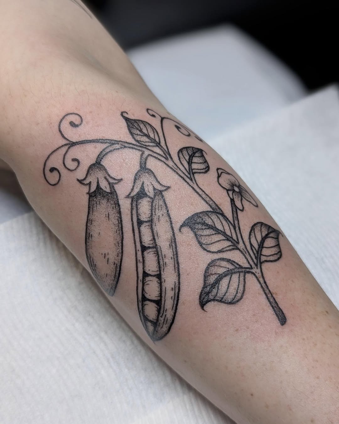 Tattoo by @daniturkeysammie — black_and_grey