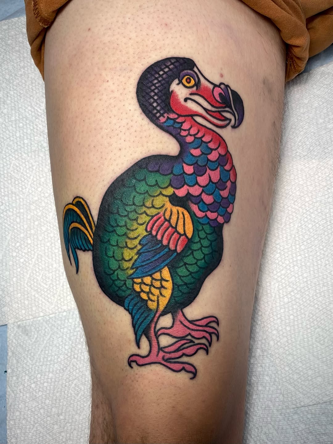 Tattoo by @painless_jack — american_traditional