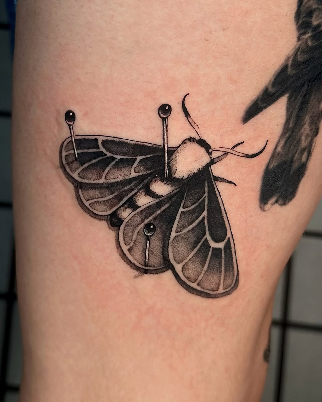 Tattoo by @pixisoda โ black_and_grey, realism