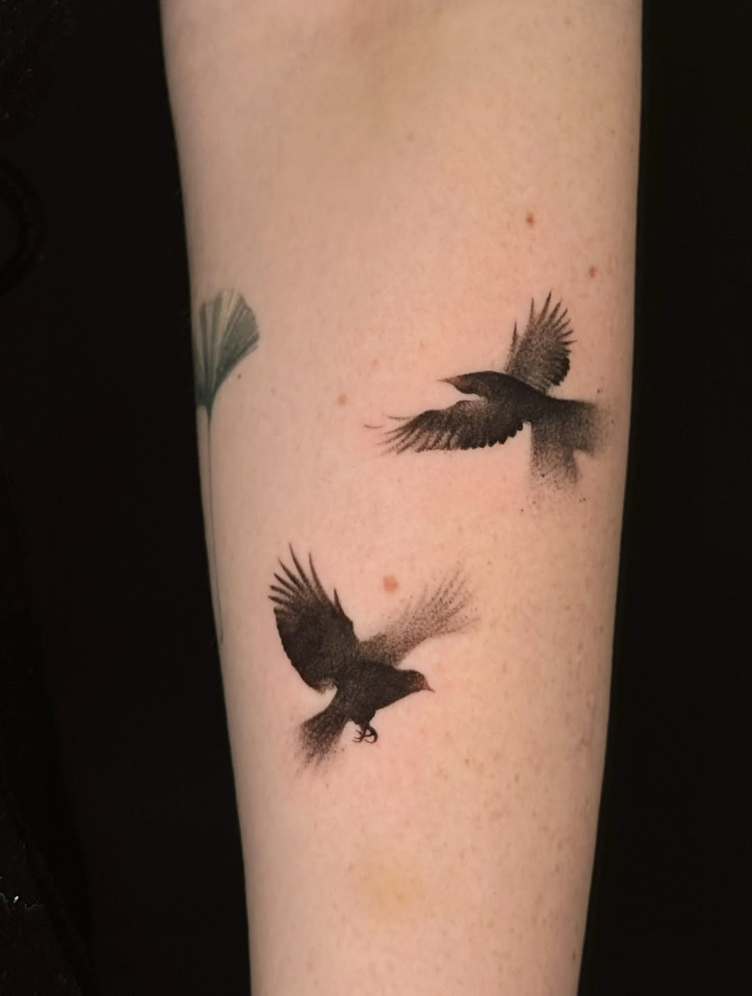 Tattoo by @graydient.inks β dotwork, illustrative