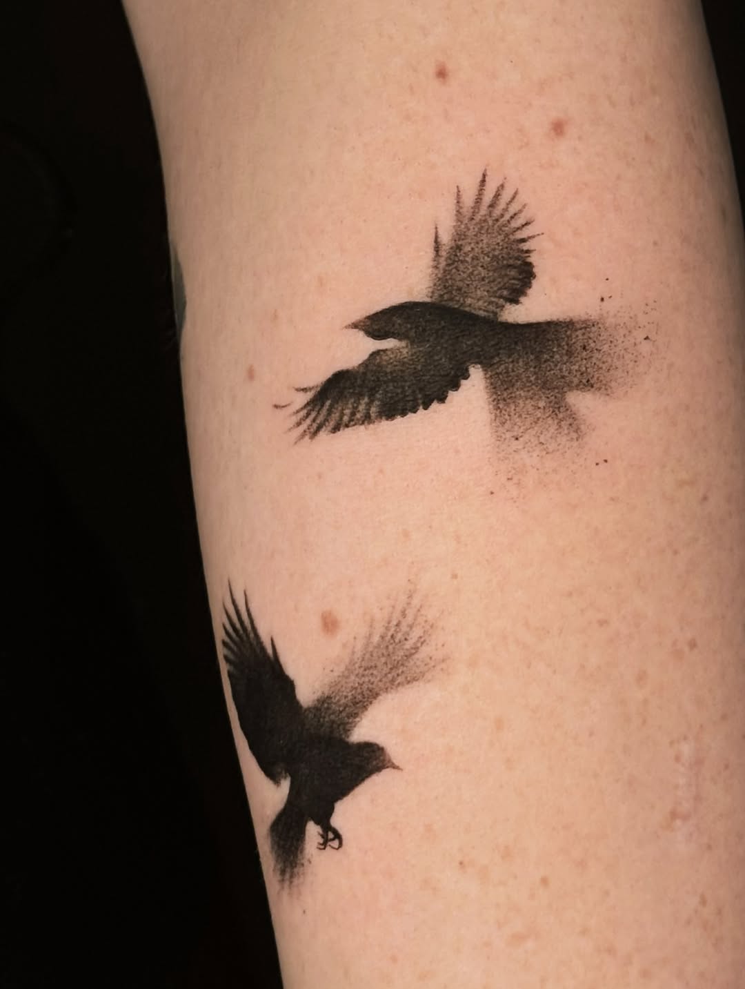 Tattoo by @graydient.inks β illustrative, dotwork