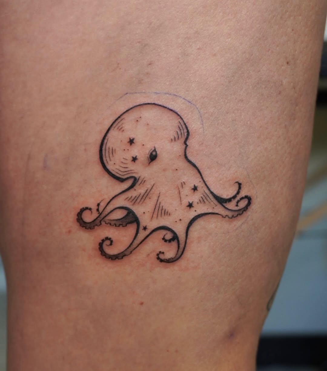 Tattoo by @scaredy.cat.tatts — fine_line, illustrative
