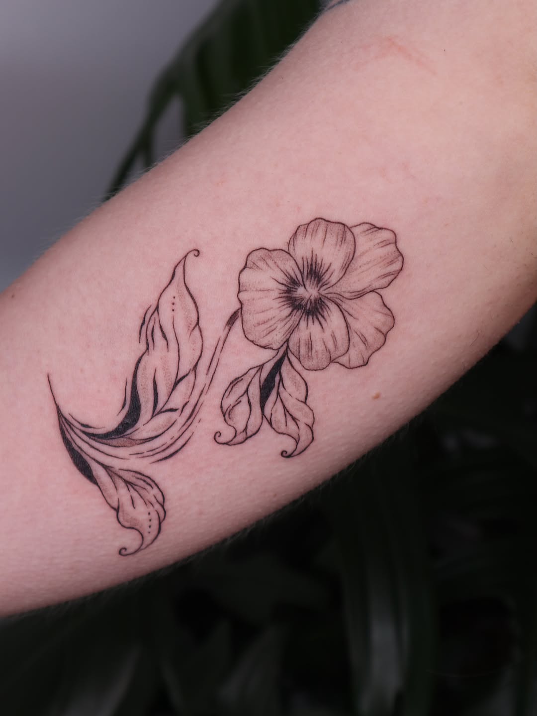 Tattoo by @hbarbarella.art — fine_line, black_and_grey