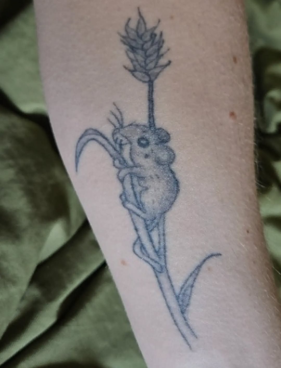 Tattoo by @jadektattoos โ fine_line, illustrative