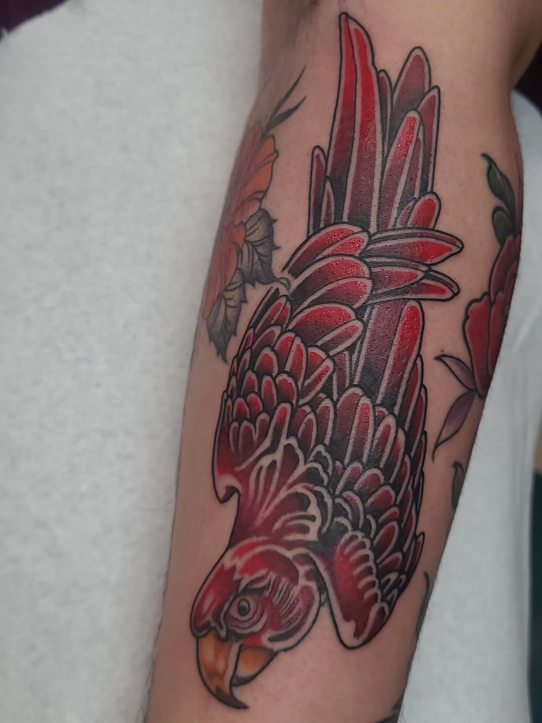 Tattoo by @drvodkatattoos — american_traditional