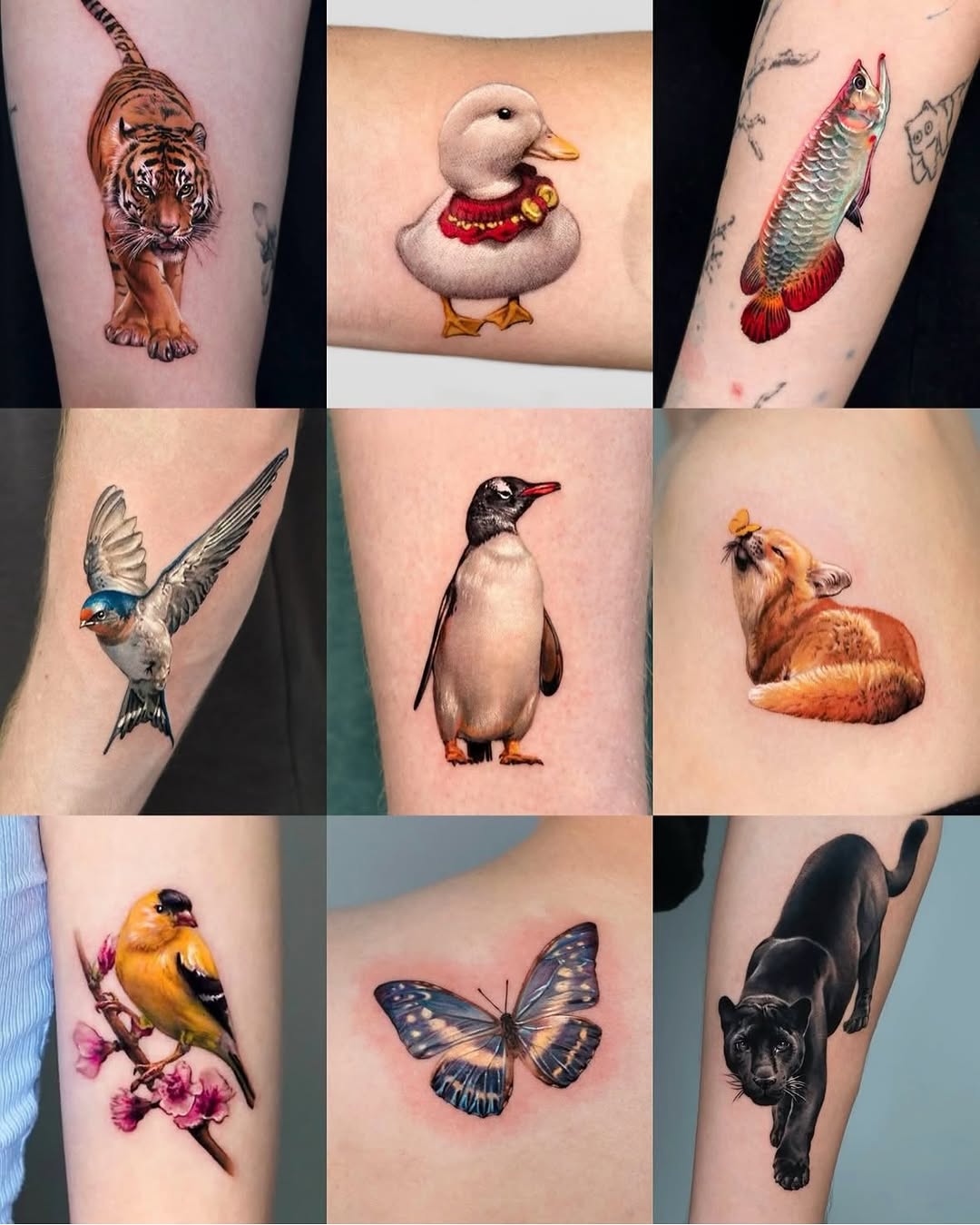 Tattoo by @harry_color — realism